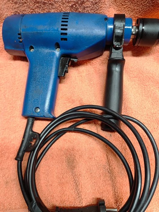 Wiertarka celma niebieska