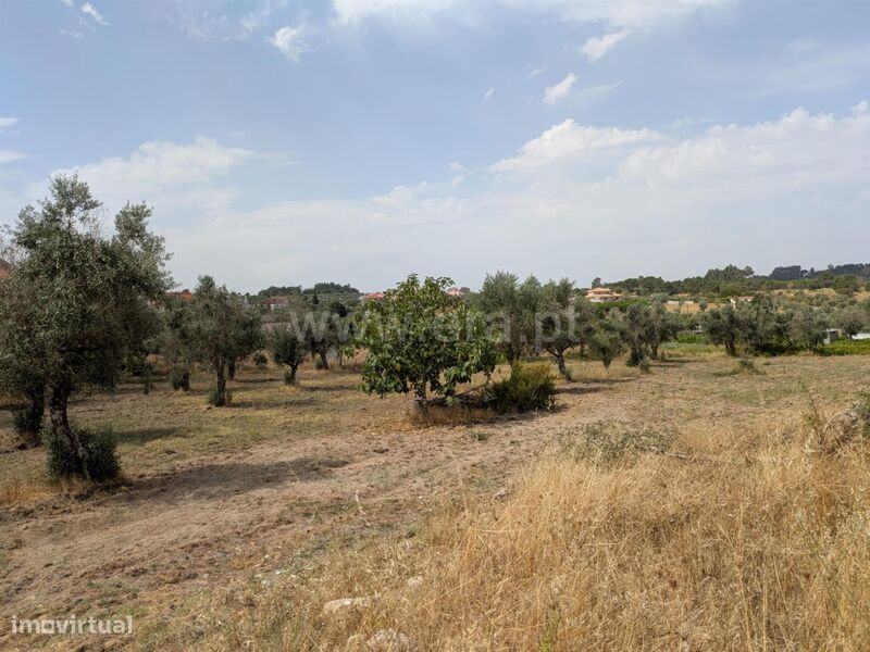 Terreno / Gouveia, Vila Nova de Tazem
