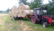 SWIEŻE SIANO bele 125x125