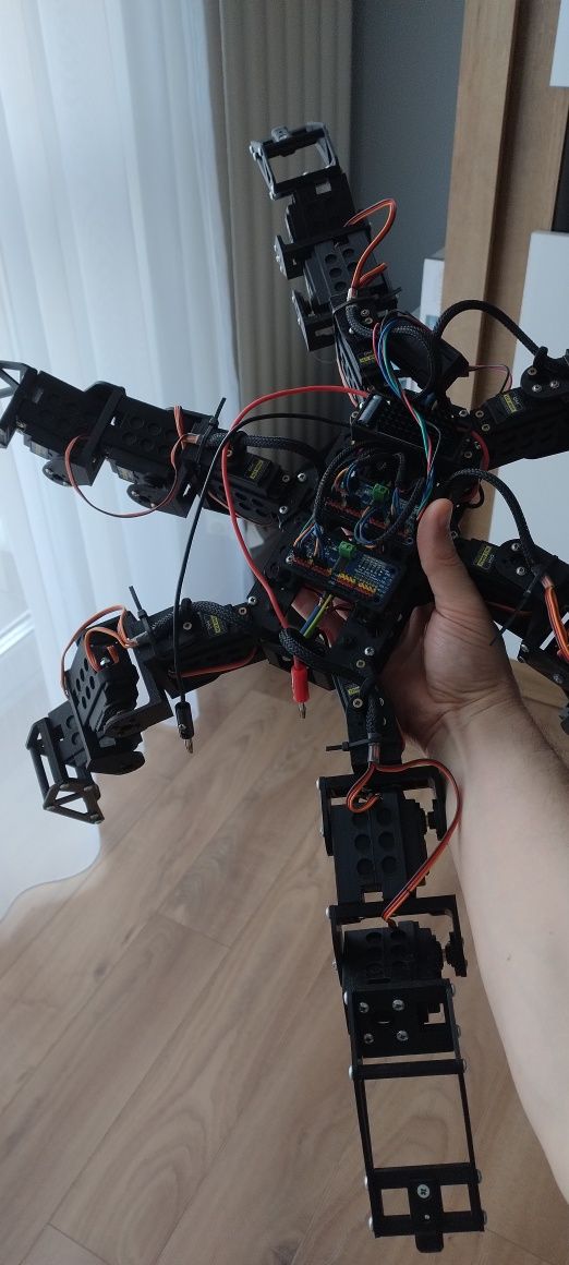 Robot Hexapod Duży, Robot-pająk, Plaforma ROS, programowanie