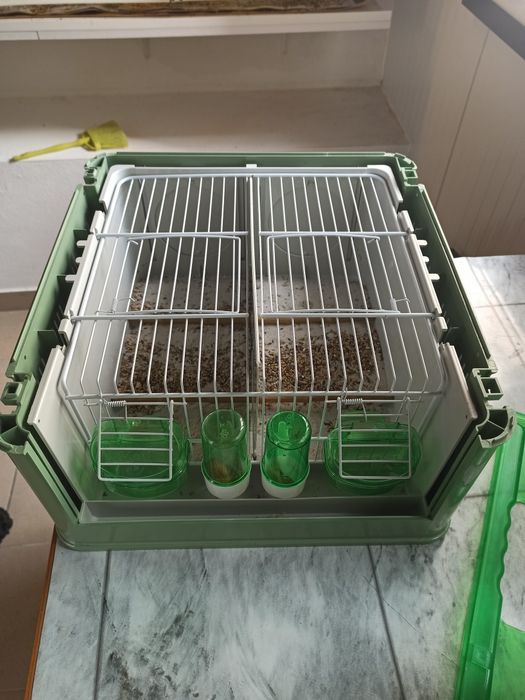 Transportadora de aves