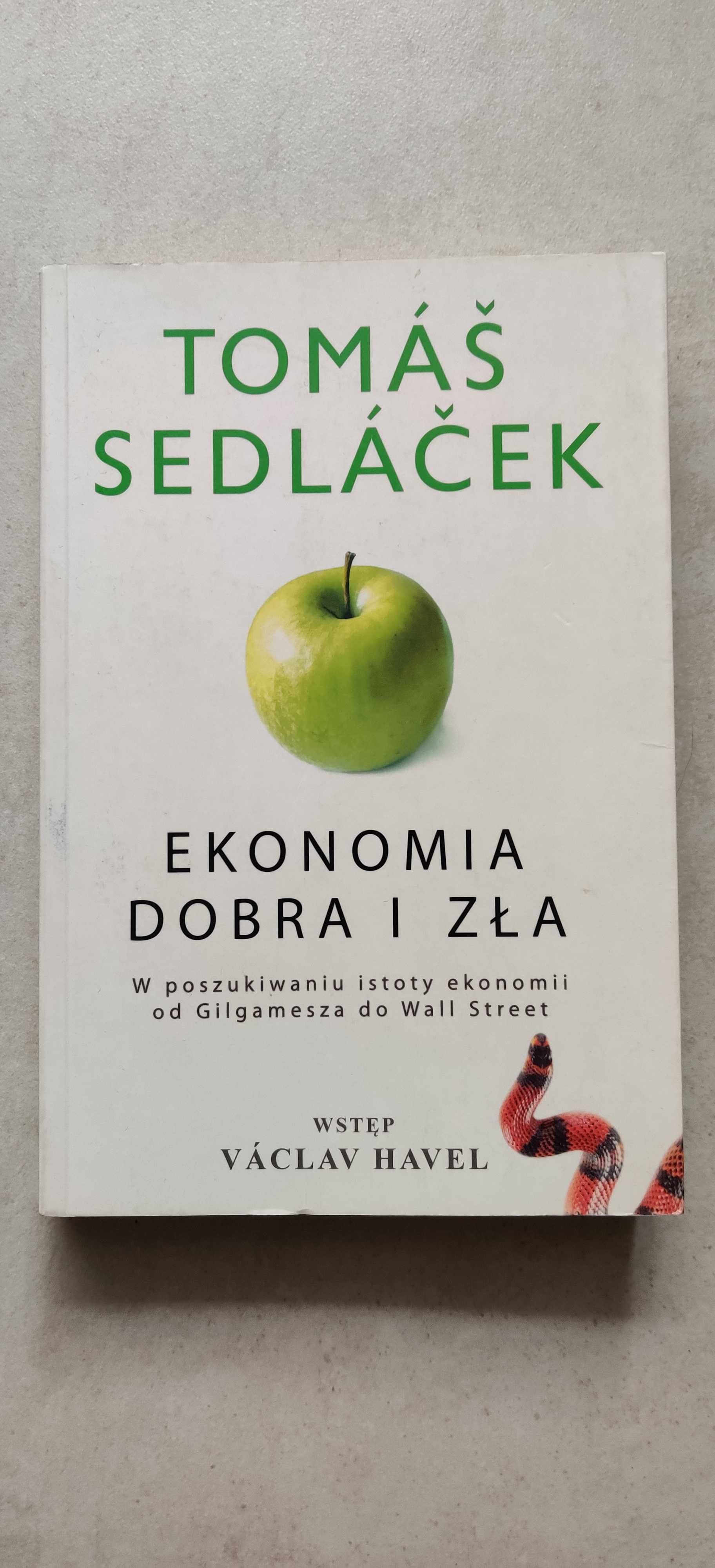 Ekonomia dobra i zła - Tomas Sedlacek