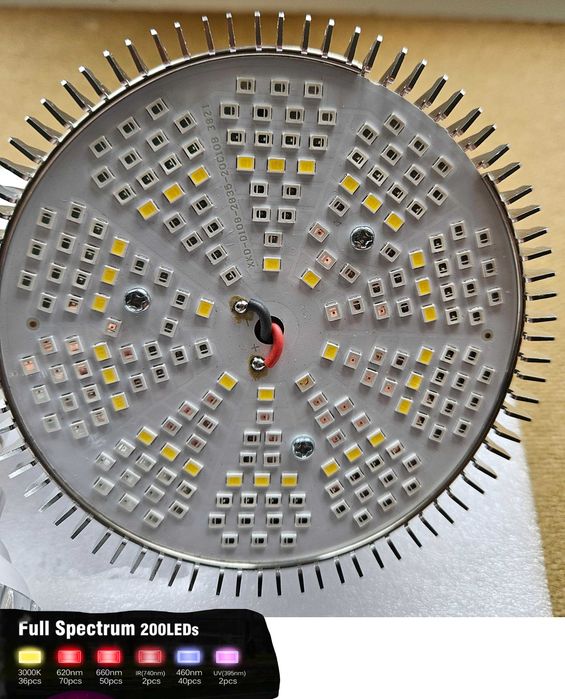 Żarówka LED do uprawy doświetlania roślin pełne spektrum  250w