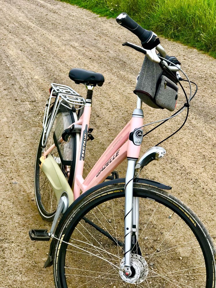 Gazelle chamonix pure rower miejski szosowy