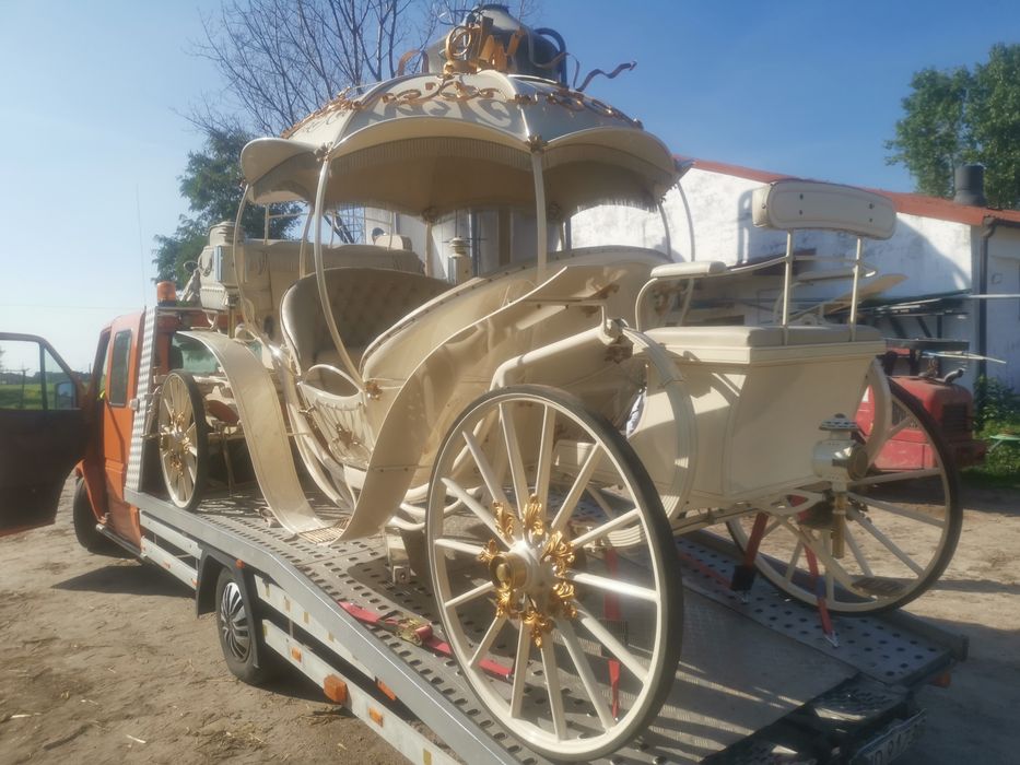 Pomoc Drogowa holowanie transport rolka S8 A1 91 74 Piotrków, Tomaszów