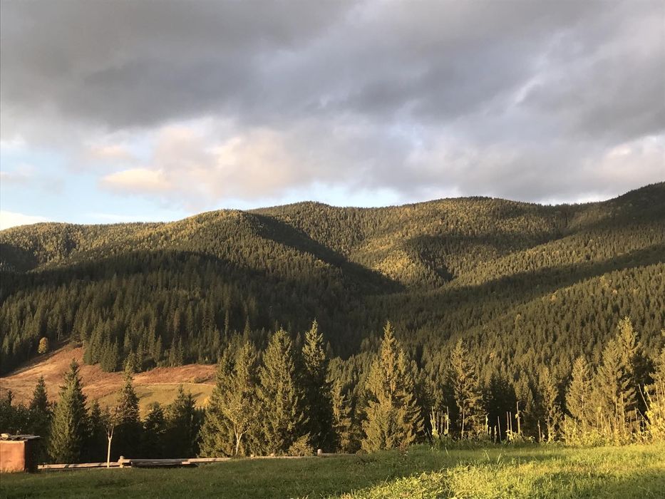 Відпочинок у Карпатах. Котедж "Під лісом".