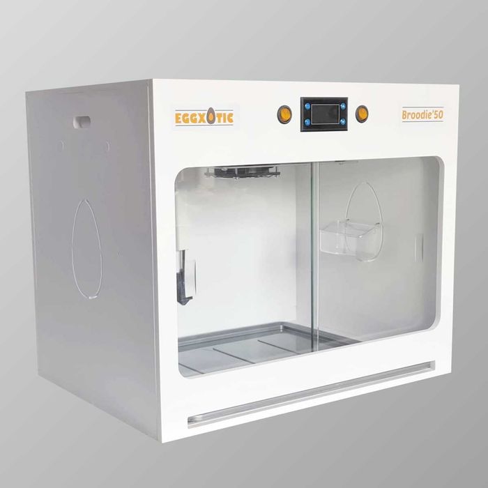 Criadeira de Aves criação à mão, maternidade c/ LED e humidade (Novas)