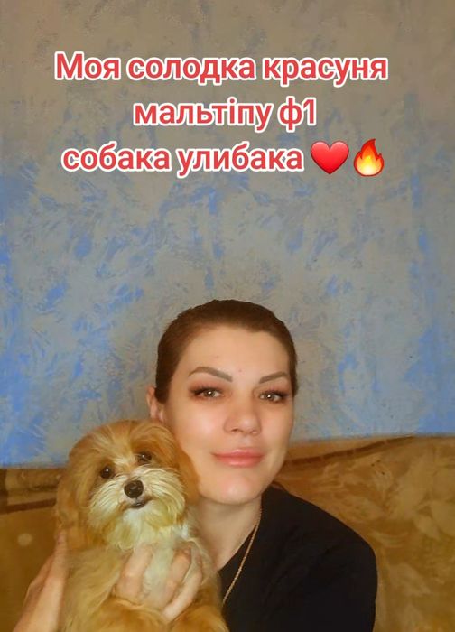 Суперова кукла мальтіпу ф1 .Дуже гарна красуня