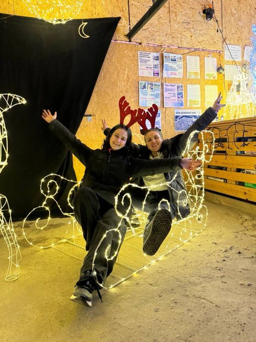 Акція. Олень новорічний. та інші фігури Сани Новогодние олени. Декор.