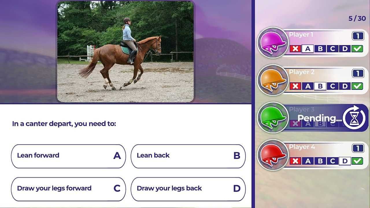 Equestrian Training PS4 / PS5 - gra o koniach, nauka jazdy konnej