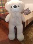 Vendo urso gigante.