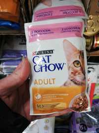 40szt saszetka purina Cat chow za 100zl