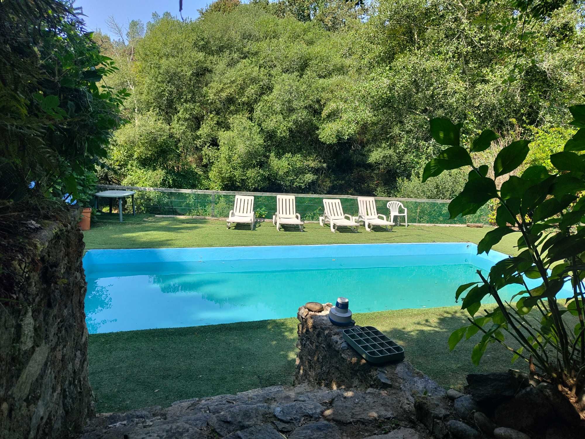 Vende-se quintinha confinante com o rio Caima em Oliveira de Azeméis