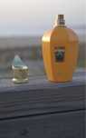 Perfume Xerjoff Erba Gold 100 ml