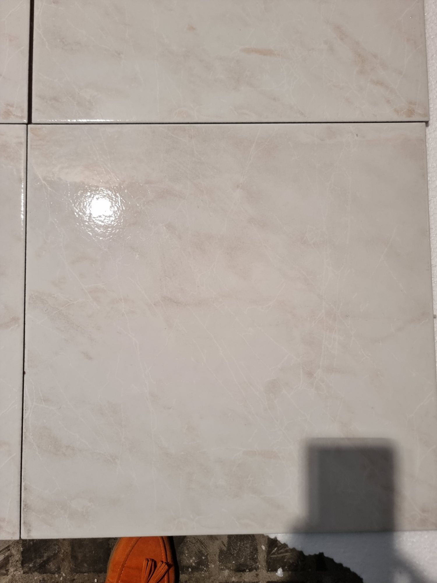 Azulejos revigres