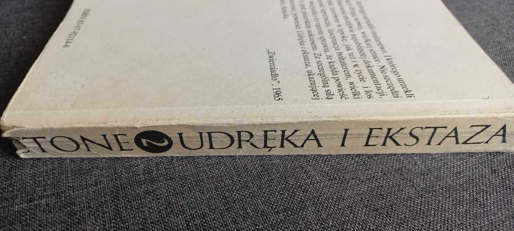 Udręka i Ekstaza Irving Stone 1990 Tom 2