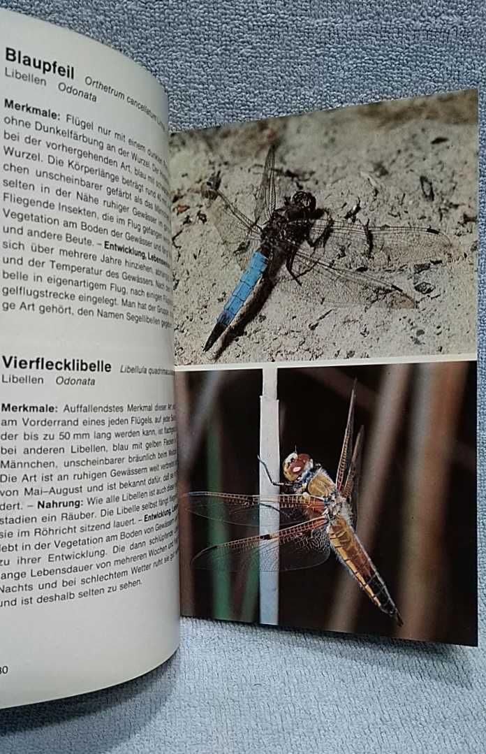Owady przewodnik przyrodniczy po niemiecku