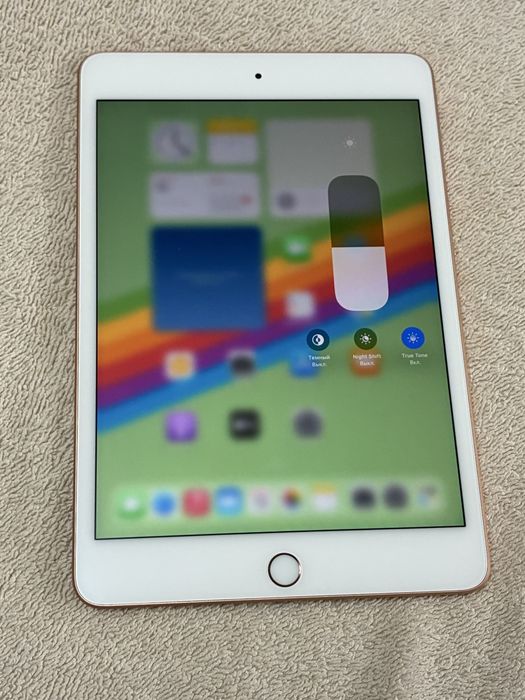 IPad Mini 5 256 Gb Gold