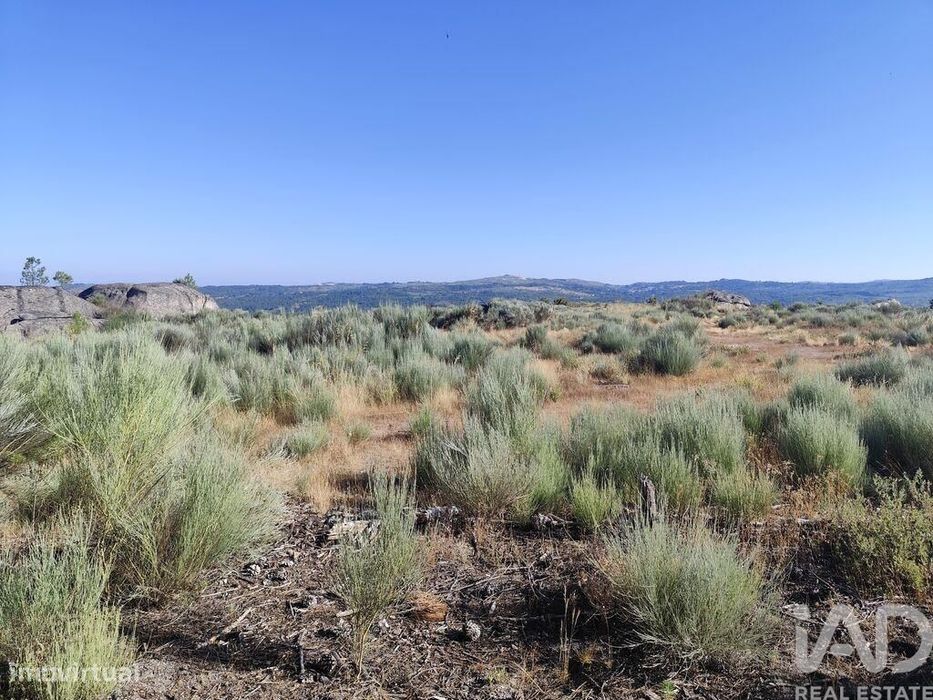 Terreno em Sernancelhe e Sarzeda de 51606,00 m2