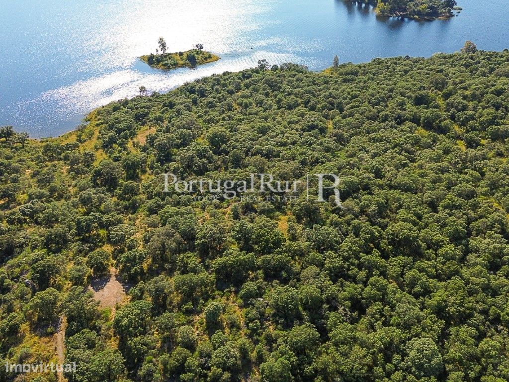 Terreno com 11,5ha na barragem de Idanha-a-Nova