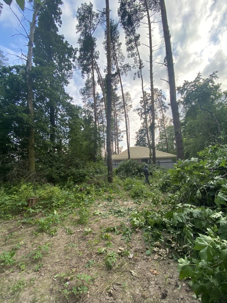 затишний будиночок в зеленому Ворзелі - доступна ціна