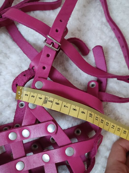 Duży kaganiec dla psa