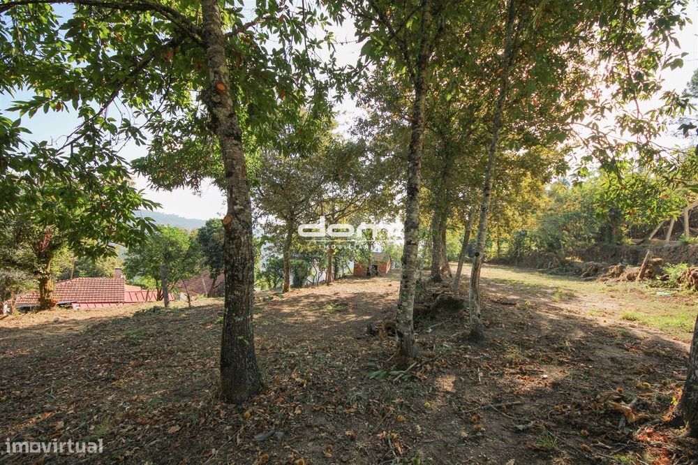 Terreno com viabilidade de construção em São Pedro do Sul