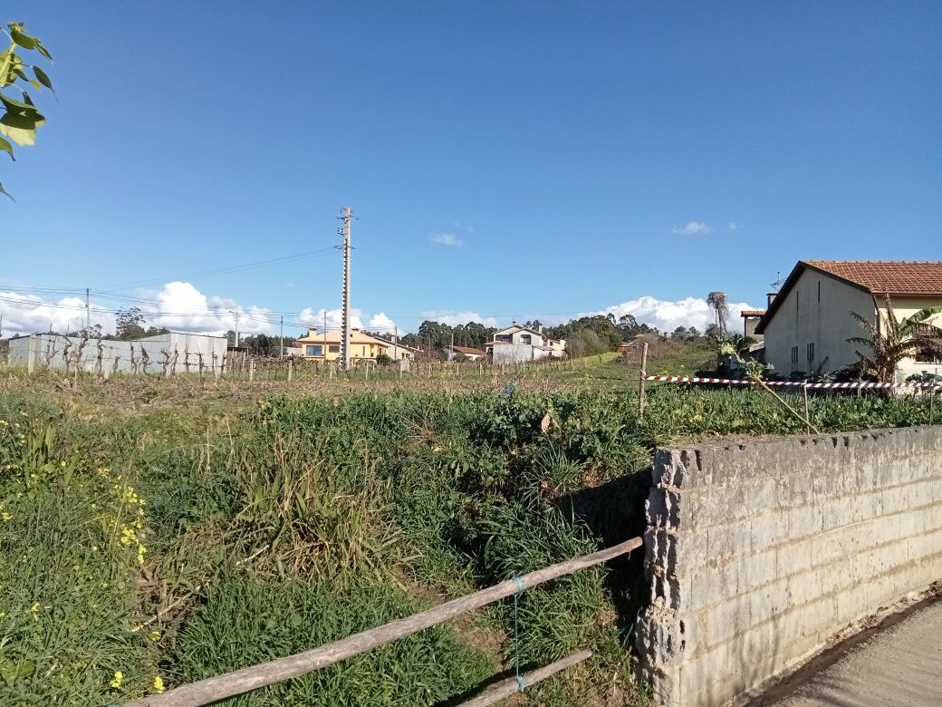 Terreno com vista magnífica para Rio Vouga em Angeja