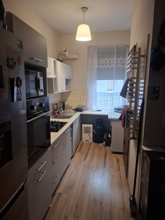 Mieszkanie do wynajecia +odstepne.