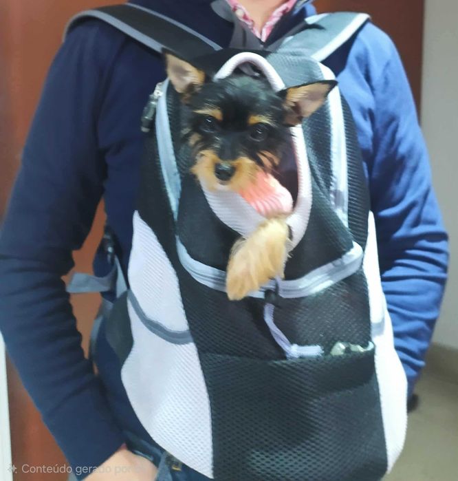 Mochila para cão (porte pequeno)