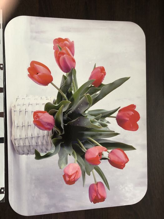 Mata stołowa 48tknk