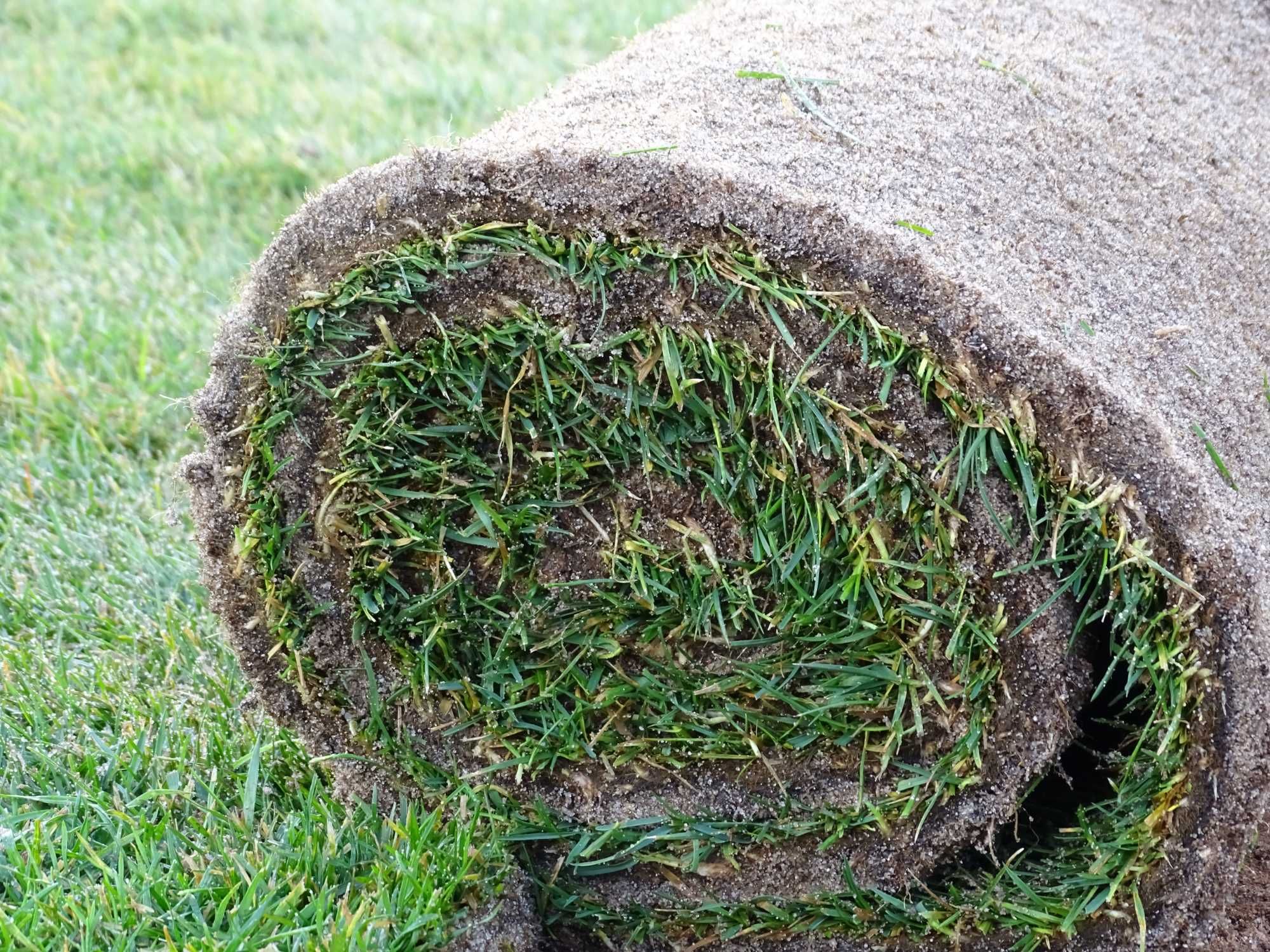 Relva natural em tapete! Transforme o seu jardim!