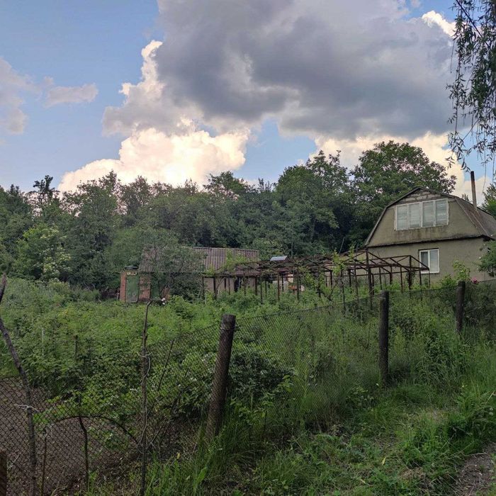 Дачний будинок із копанкою біля озера