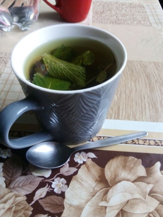 Suszone liście mięty (idealne na herbatę)