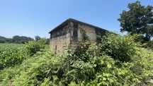 2 terrenos agricolas