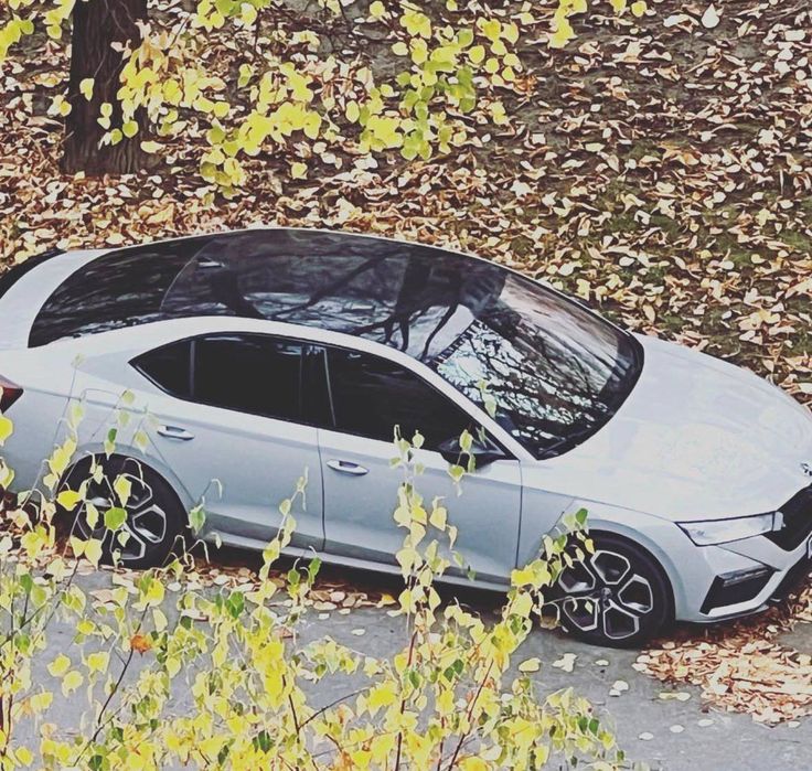 Шкода Октавія Rs