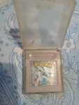 Pokémon Silva para game Boy