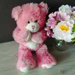 Różowy miś Build-A-Bear 42 cm – miękki i uroczy