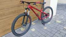 Rower Dartmoor Primal Intro 29", 2021