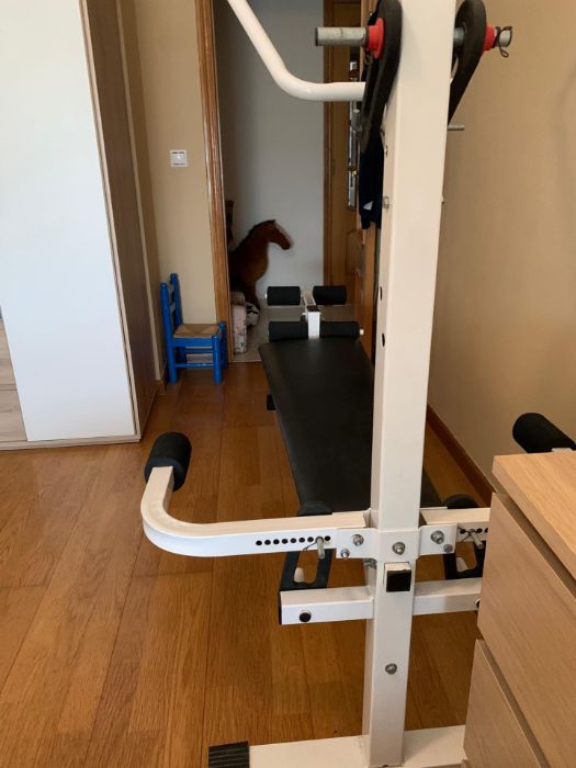 Máquina Musculação Power Flex 220