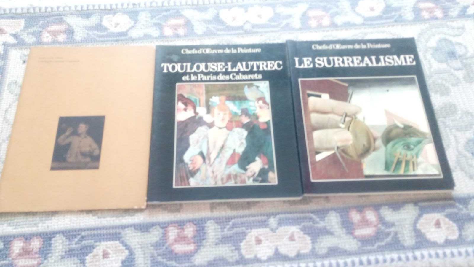 Conjunto livros Arte Pintura Fotografia