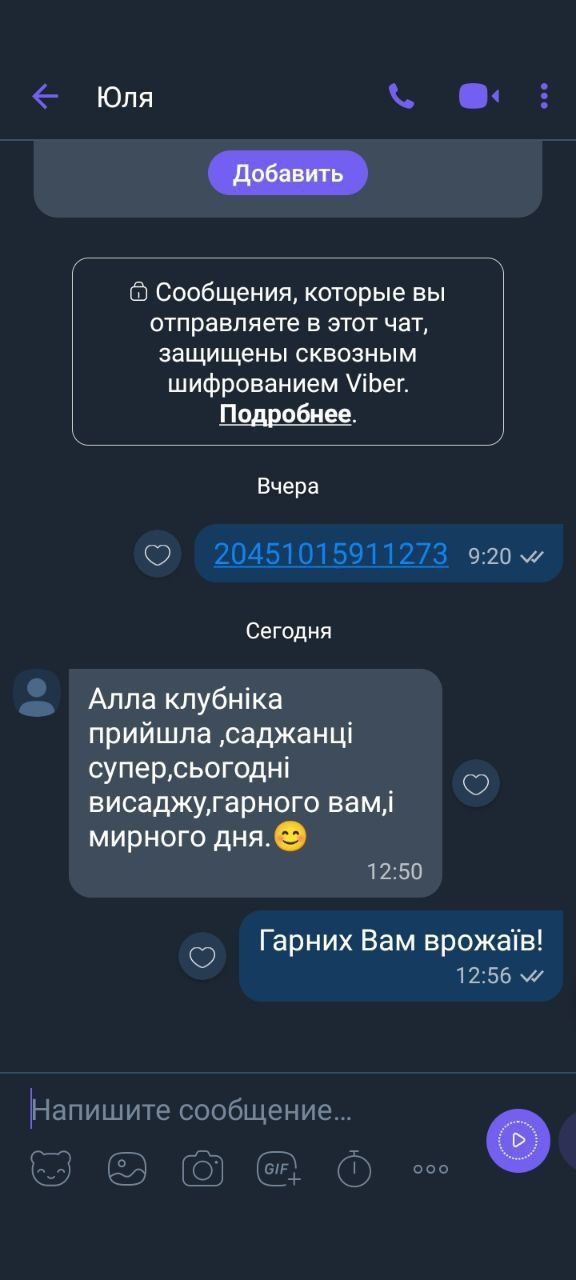 Саженцы клубники, малины, смородины от питомника – низкие цены, отличн