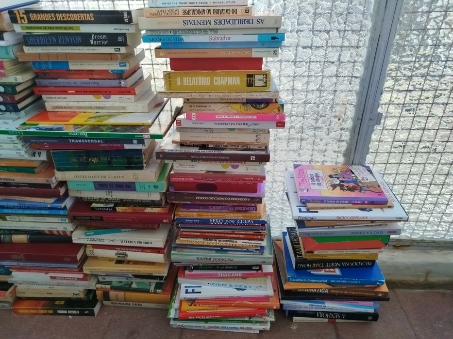 Lote de 505 livros