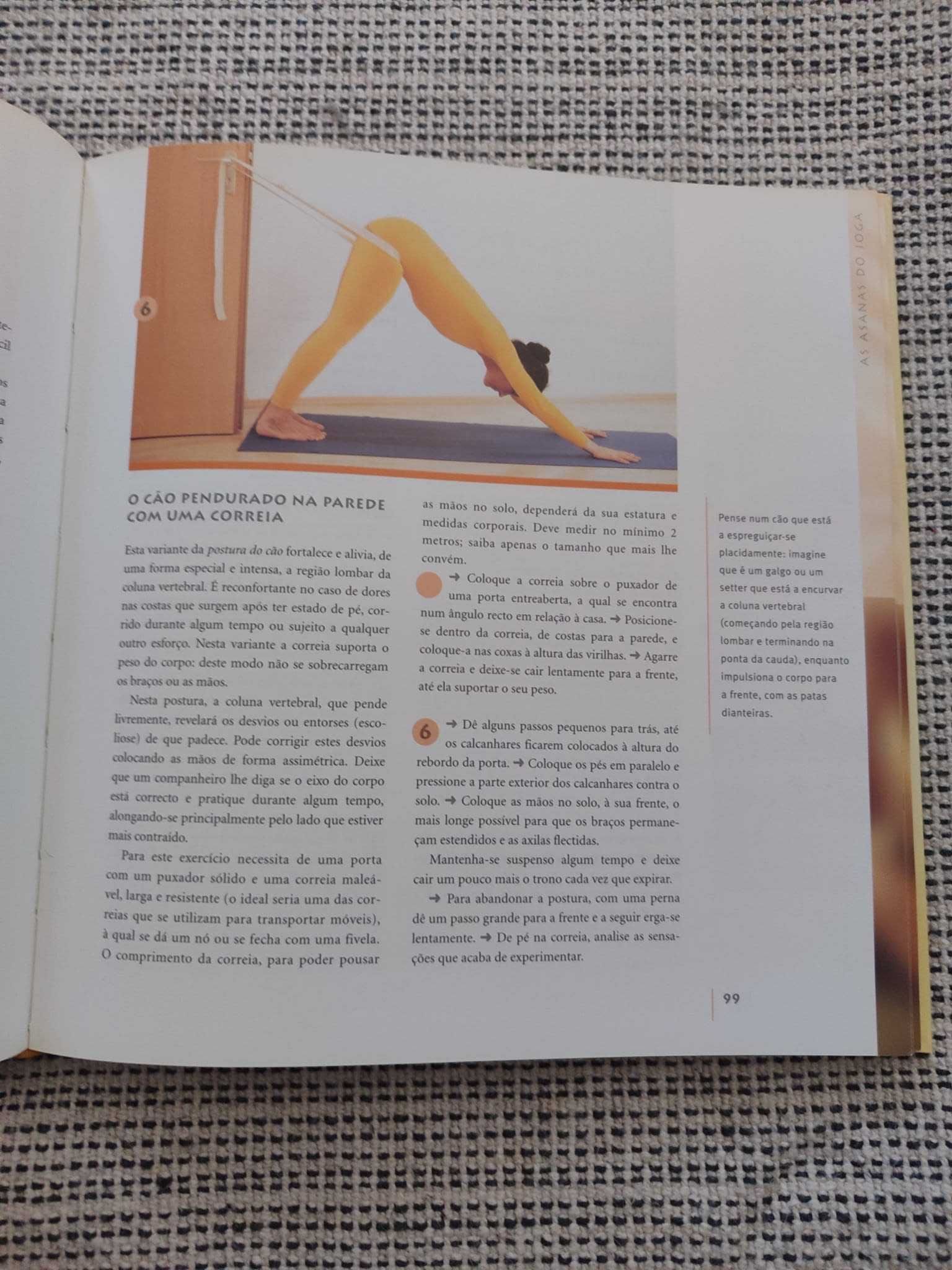 O grande livro do Yoga de Anna Trokes