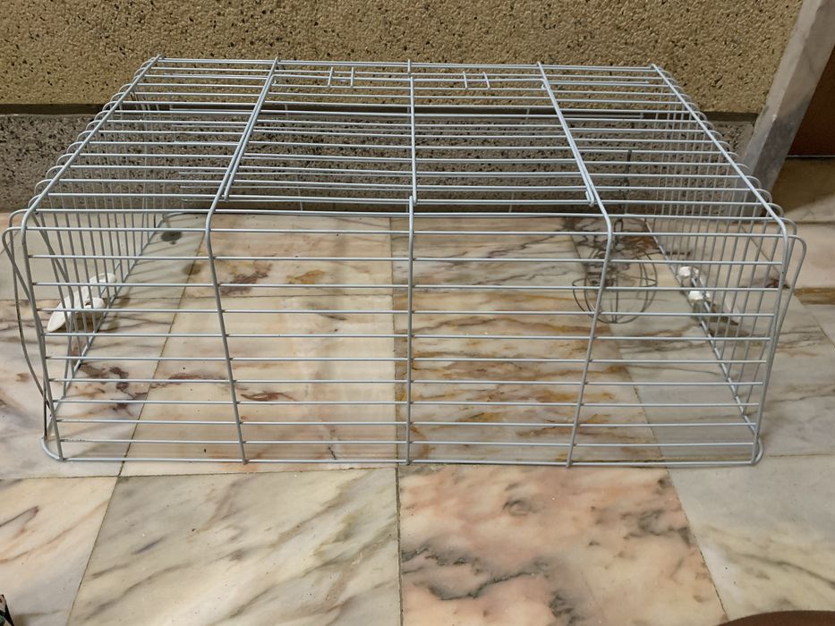 Gaiola roxa para animais