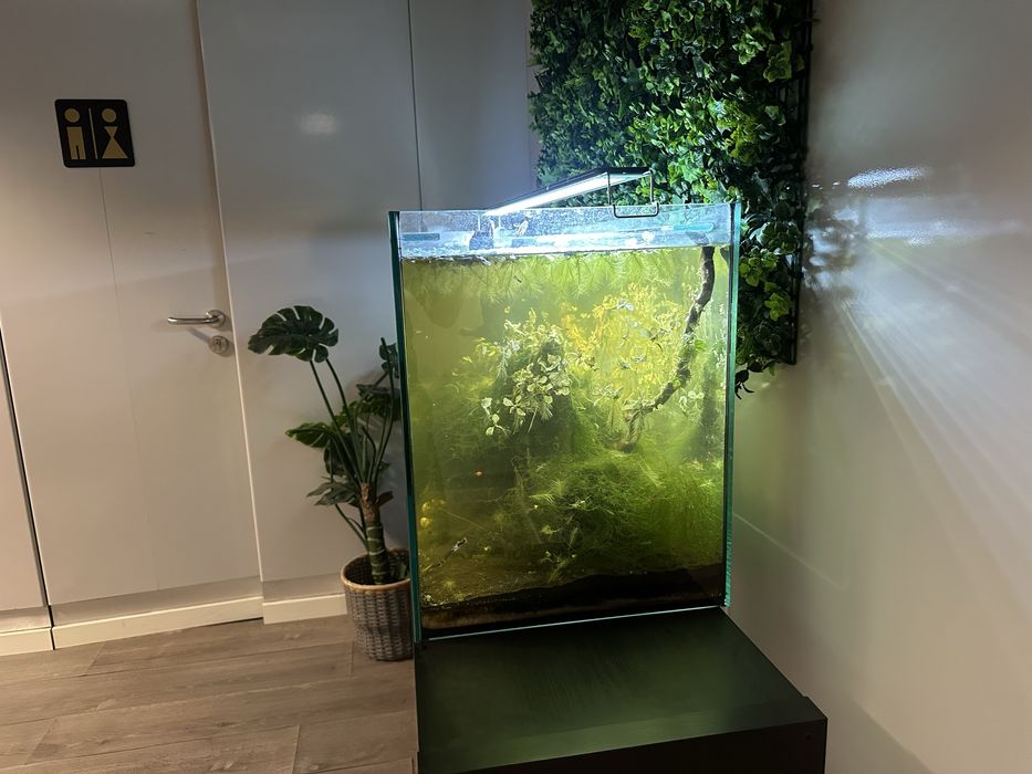 Aquário 1m completo c/ LED + acessórios — despachar em Gondomar