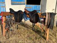 2 Selins cavalo + extras