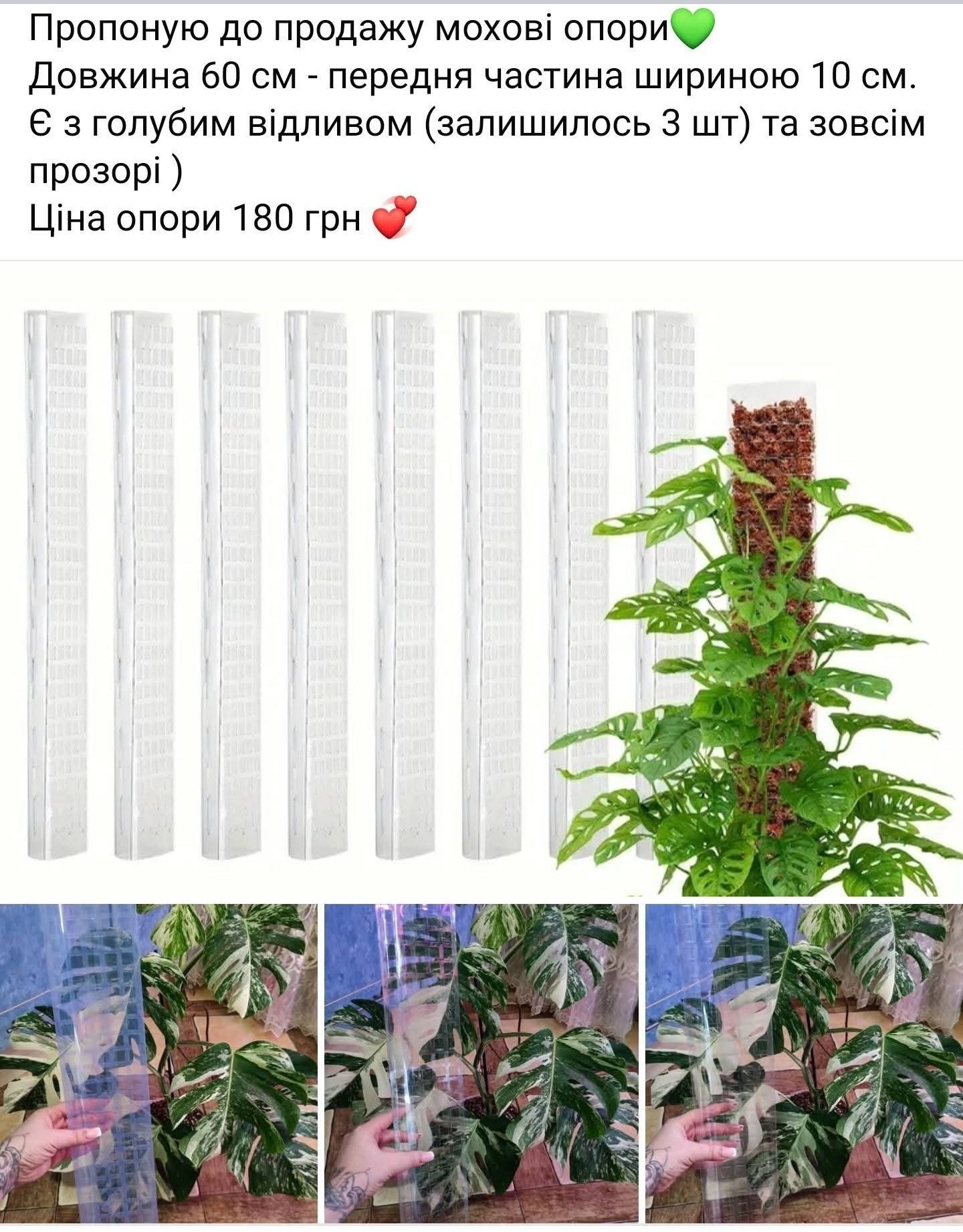 Мохові стійки для рослин