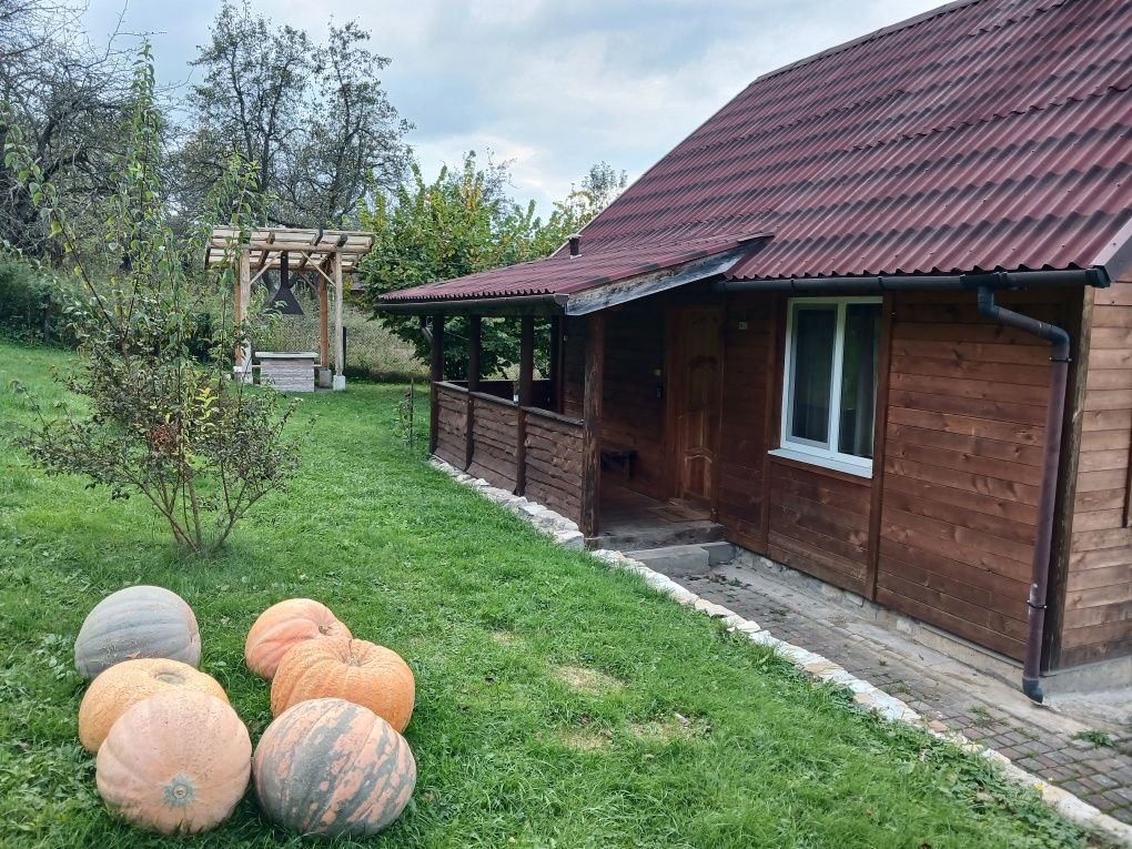 Здається будинок в Карпатах, оренда в Карпатах, сауна та вітряки.