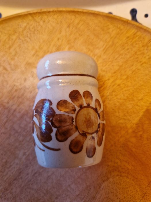 Solniczka Włocławek